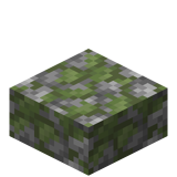 Плита из замшелого булыжника.png